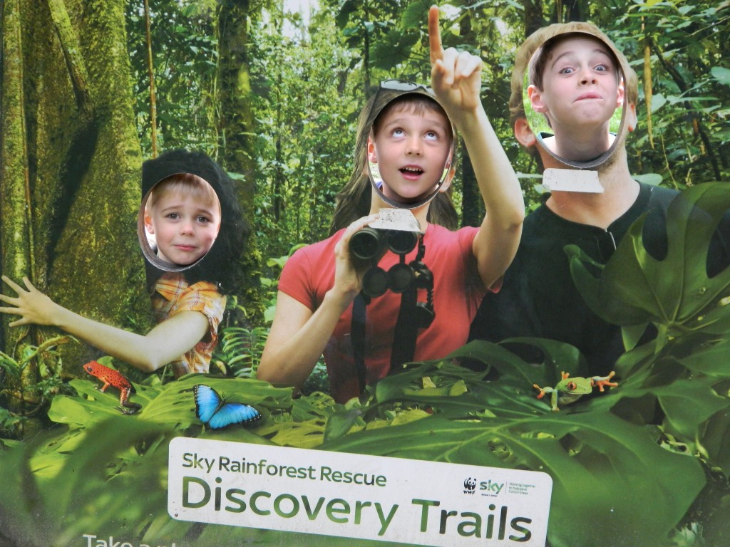 Albert, Arlo and Blake check out the play park at Forest Pines, Sherwood